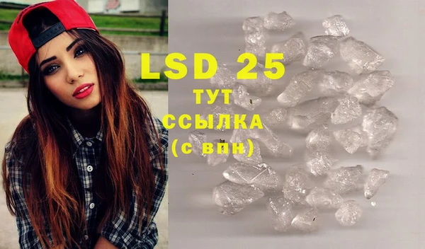 ECSTASY Елизово