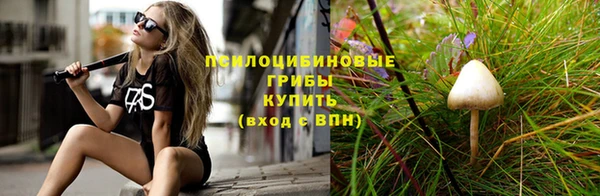 ECSTASY Елизово