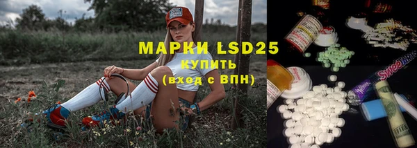 ECSTASY Елизово